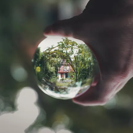 Erdo Lelke Vendeghaz: Mesebeli, Erdoszeli Fahaz Panoramaval *
